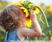 child with sunflower in Natural Child Magazine - natural parenting, green living from pregnancy through birth and early childhood