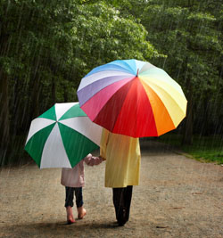 umbrellas